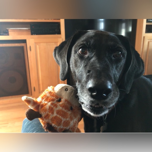 WELCOME to my closet! About me: - Picture 13 of 15